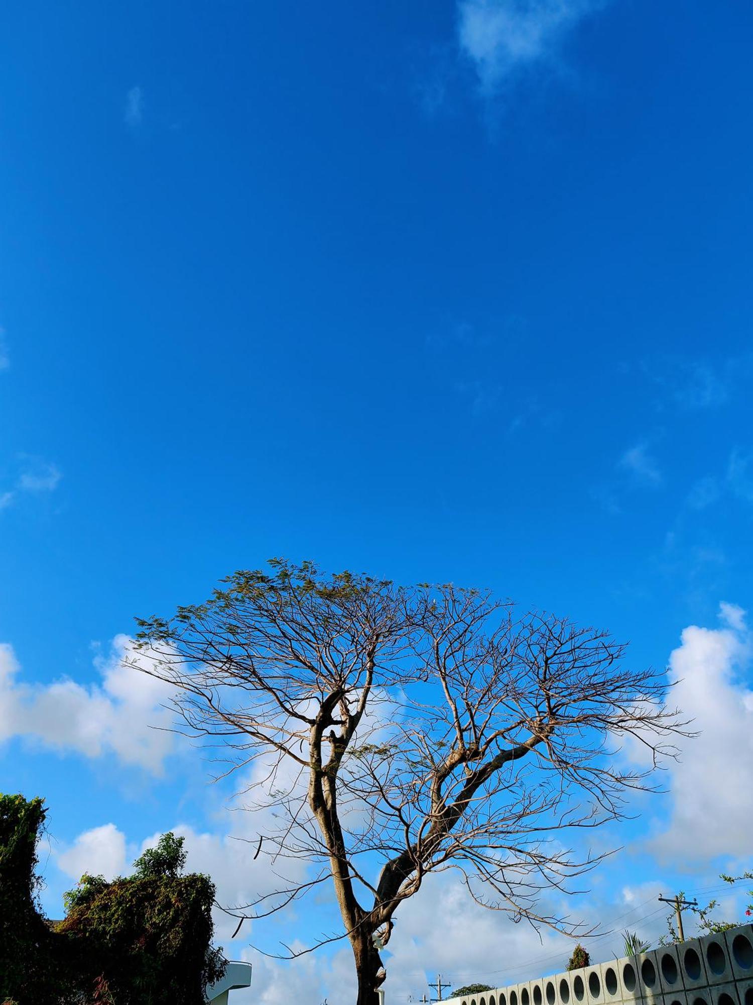 Discovery Saipan Hotel Garapan Dış mekan fotoğraf